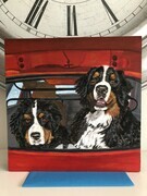Bernese brothers